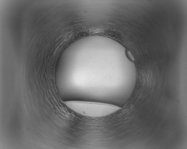 X0000078031393200610271030