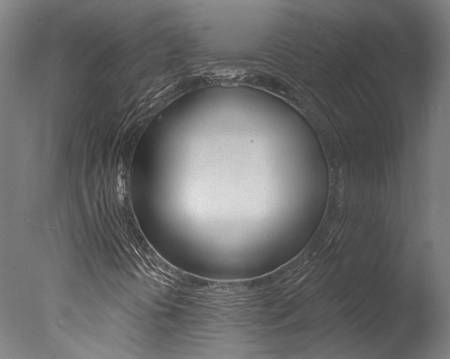 X0000078031394200610271030