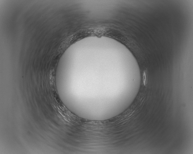 X0000078031395200610271030