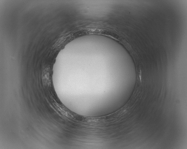 X0000078031396200610271030