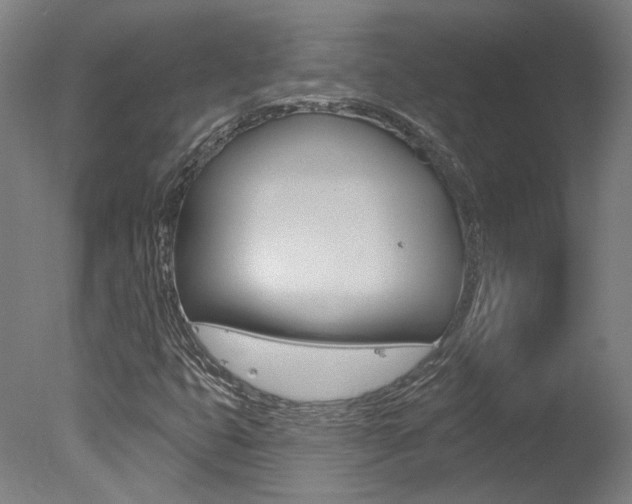 X0000078031399200610271030