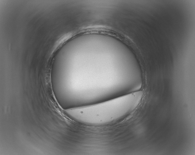 X0000078031405200610271030