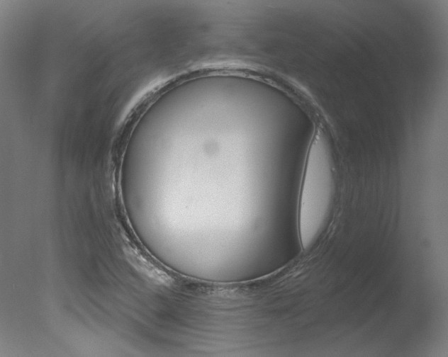 X0000078031408200610271030