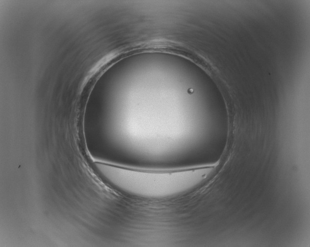 X0000078031410200610271030