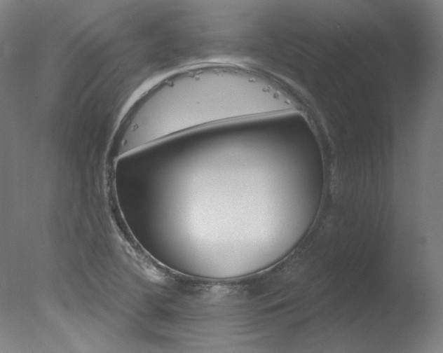 X0000078031412200610271030