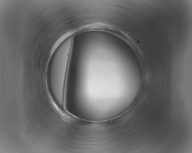 X0000078031418200610271030