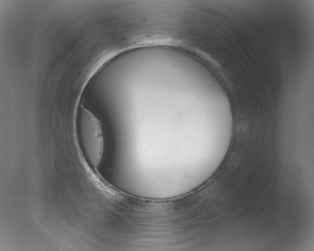 X0000078031423200610271030