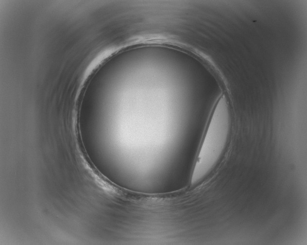 X0000078031424200610271030