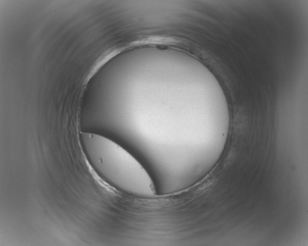 X0000078031425200610271030