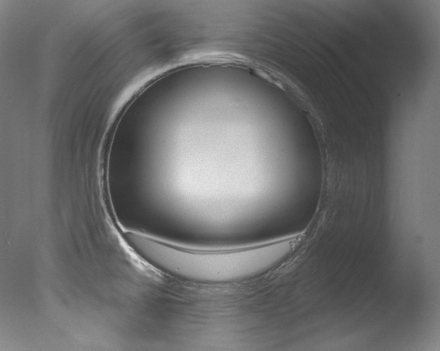 X0000078031430200610271030