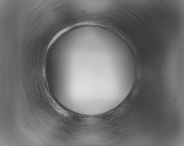 X0000078031436200610271031
