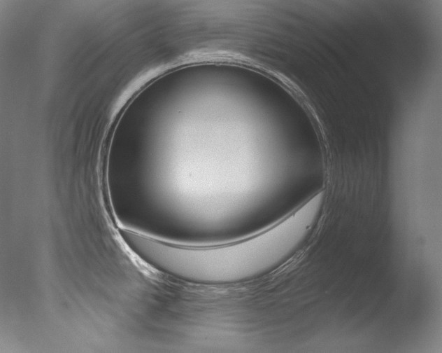 X0000078031438200610271031
