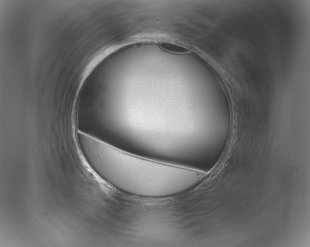 X0000078031440200610271031