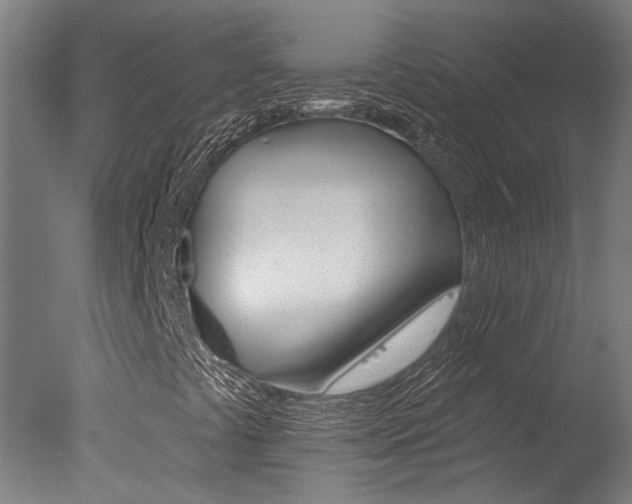 X0000078031441200610271030