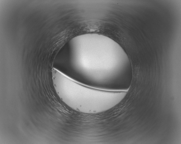 X0000078031442200610271030