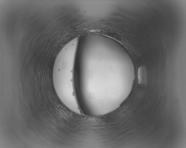 X0000078031443200610271030