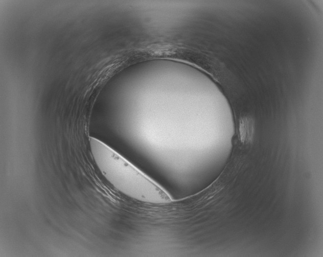 X0000078031444200610271030