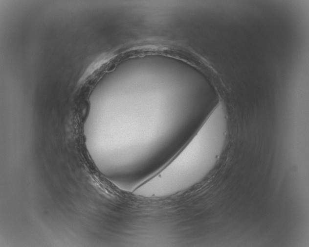 X0000078031448200610271030