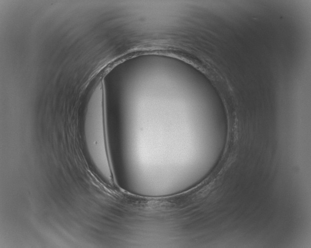 X0000078031449200610271030