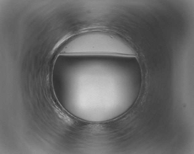 X0000078031450200610271030
