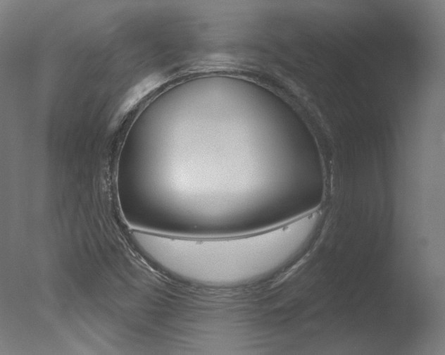 X0000078031453200610271030