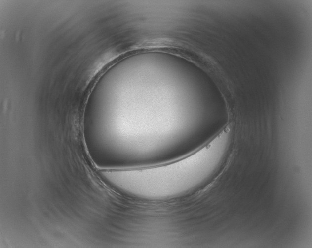 X0000078031457200610271030