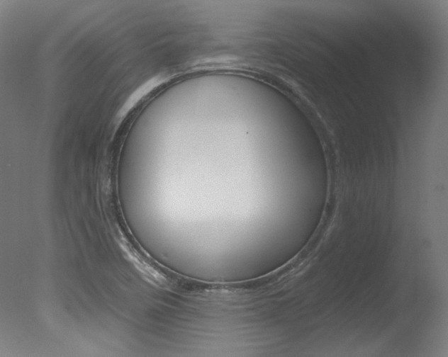 X0000078031458200610271029