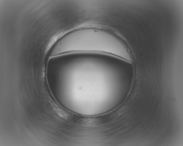 X0000078031461200610271029