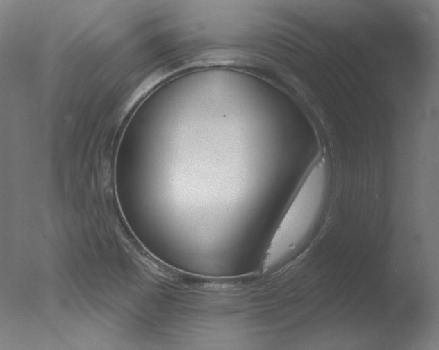 X0000078031465200610271029
