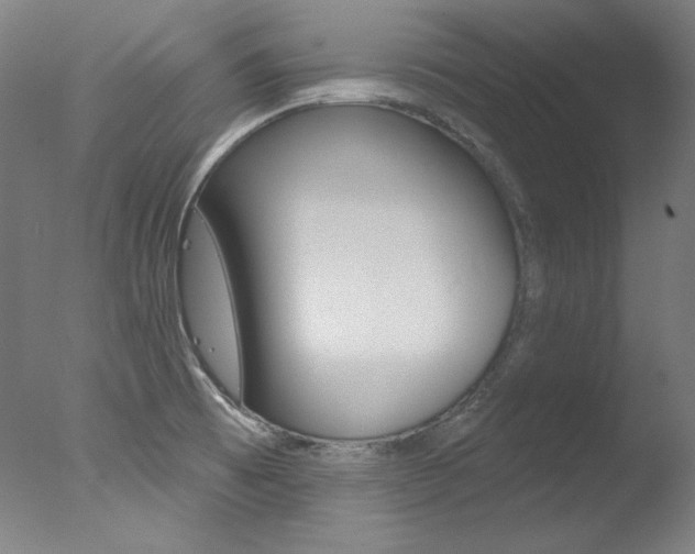 X0000078031473200610271029
