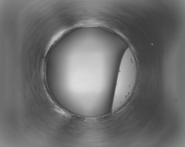 X0000078031477200610271029