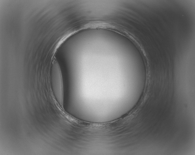 X0000078031481200610271029