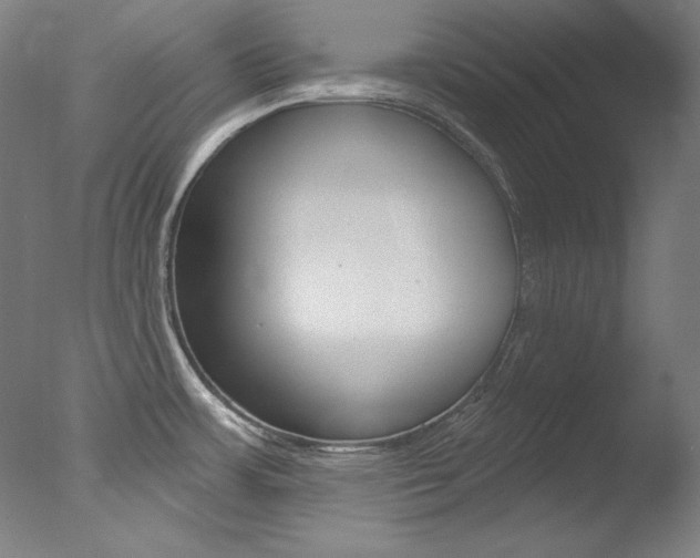 X0000078031483200610271029