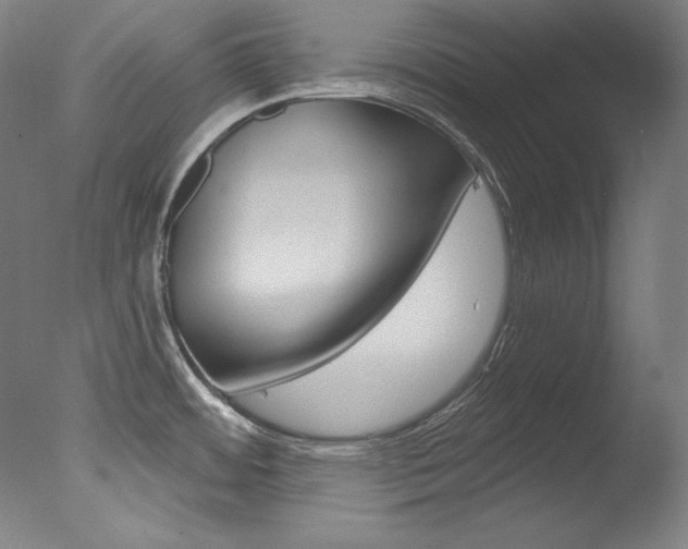 X0000078031484200610271029