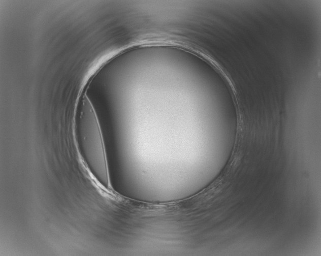 X0000078031485200610271029