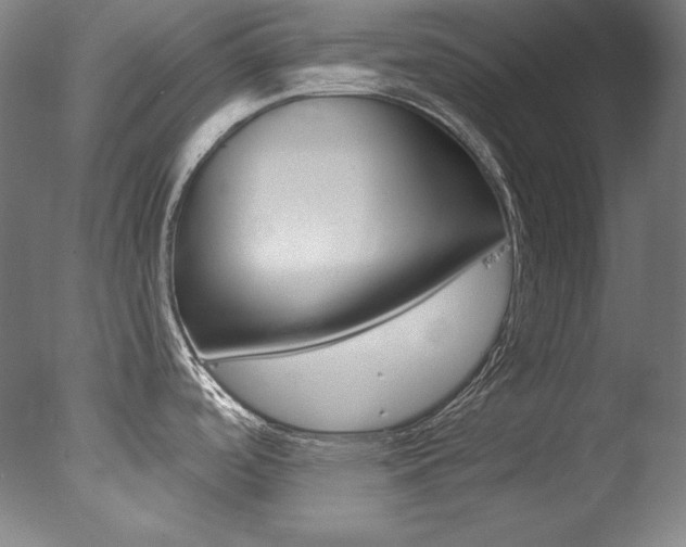 X0000078031488200610271029