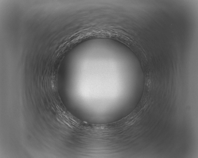 X0000078031490200610271028