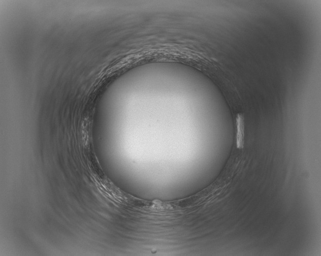 X0000078031491200610271028
