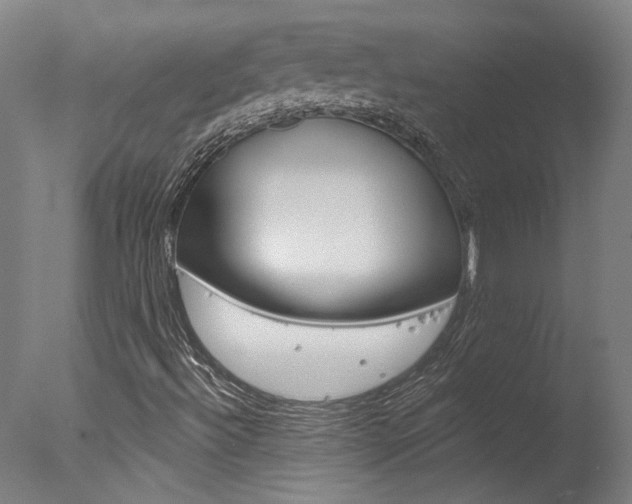 X0000078031492200610271028