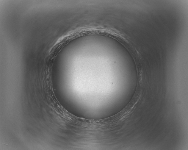 X0000078031494200610271028