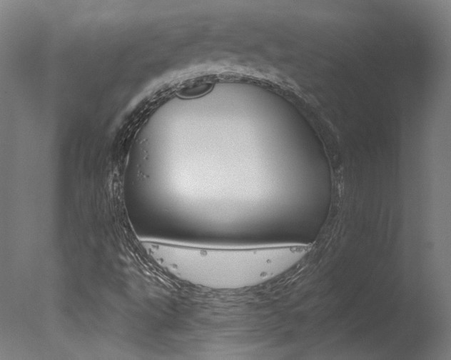 X0000078031495200610271028