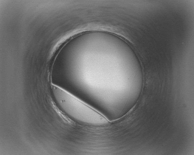 X0000078031507200610271028