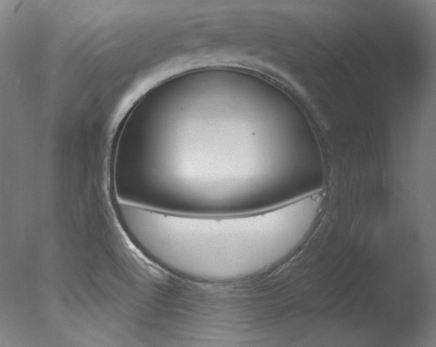 X0000078031512200610271029
