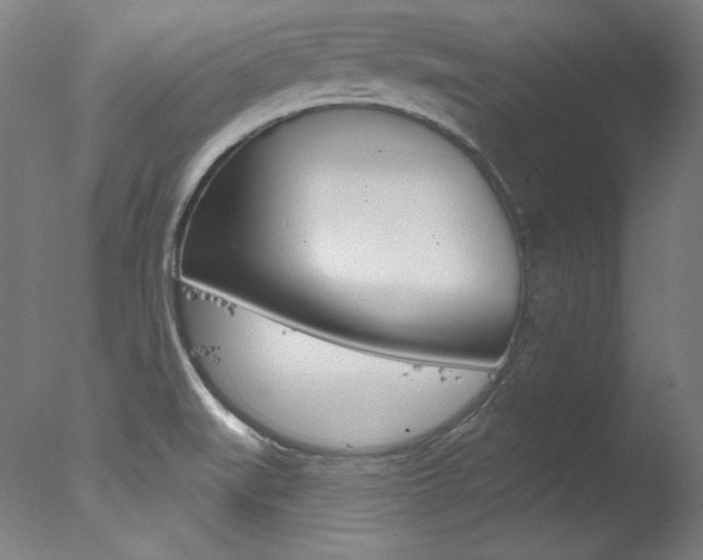 X0000078031519200610271029