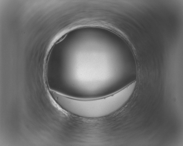 X0000078031528200610271029