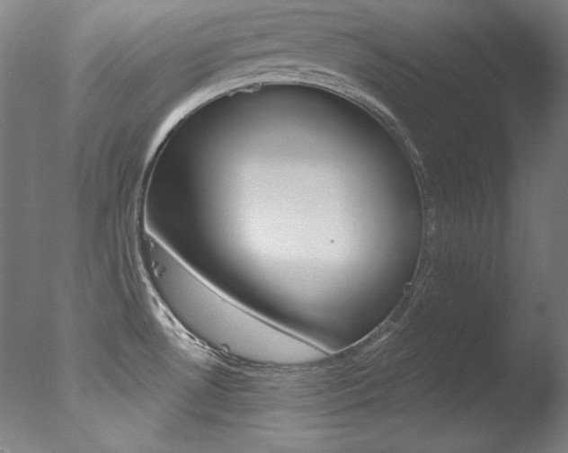 X0000078031530200610271029