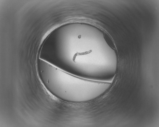 X0000078031533200610271029
