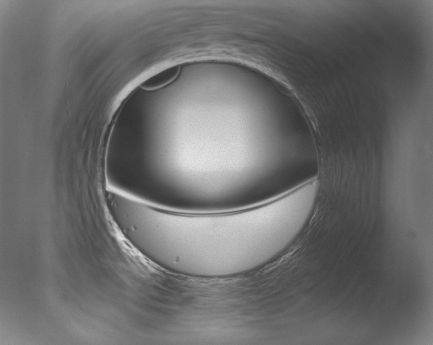 X0000078031534200610271029