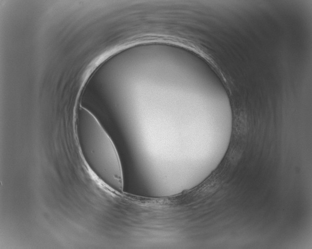 X0000078031535200610271029