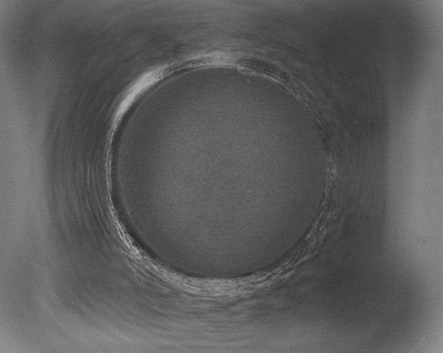 X0000078030006200610271312